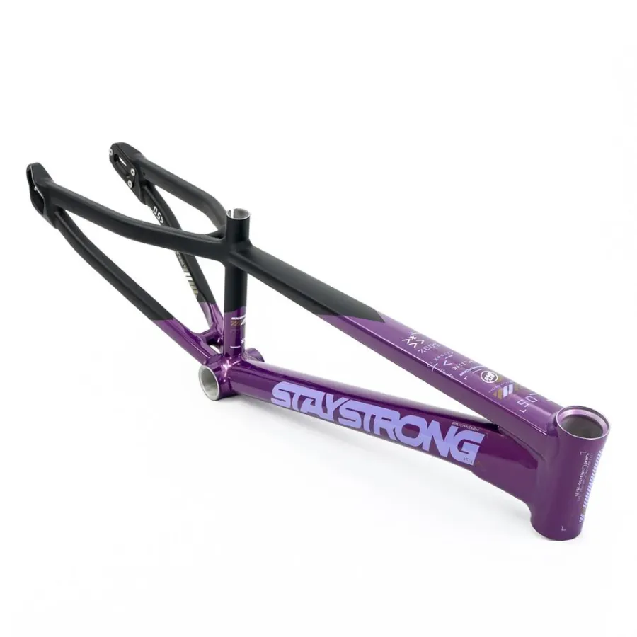 Stay Strong V5 Disc Only Frame 2025 Purple/Black